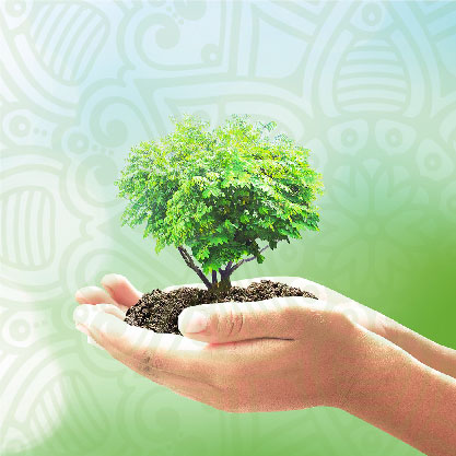 organic-img